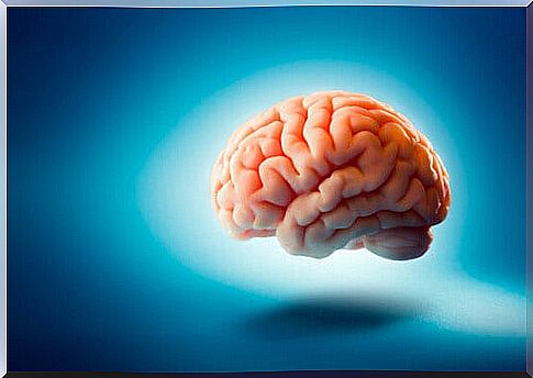 Brain on blue background