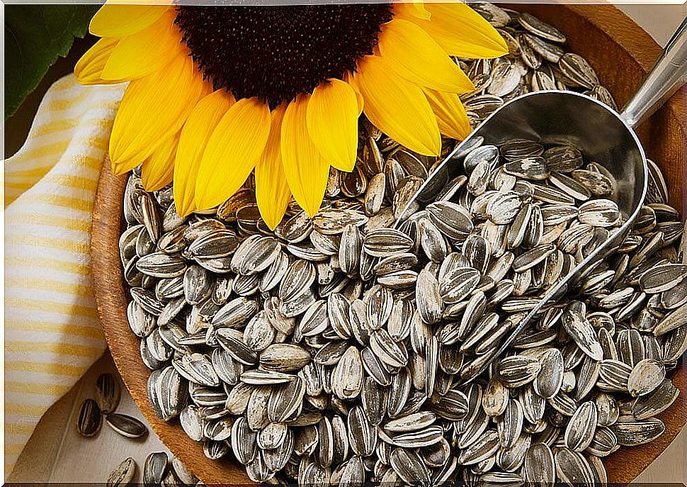 sunflower seed, one of the foods that increase serotonin and dopamine