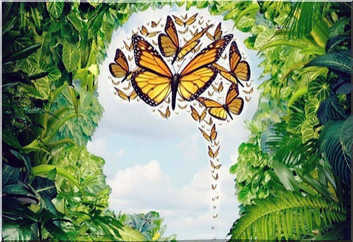 Butterfly Mind: Unbridled Creativity, But Little Useful