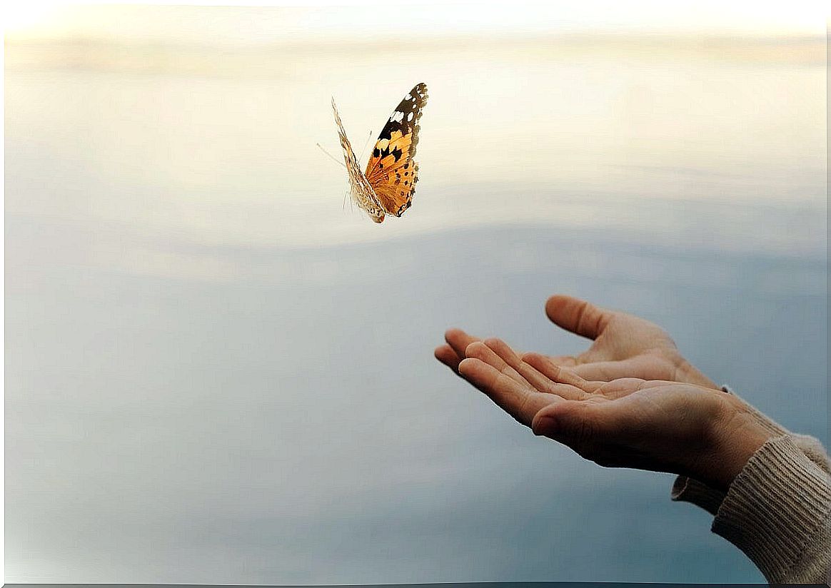 hand symbolizing the movement of the butterfly mind