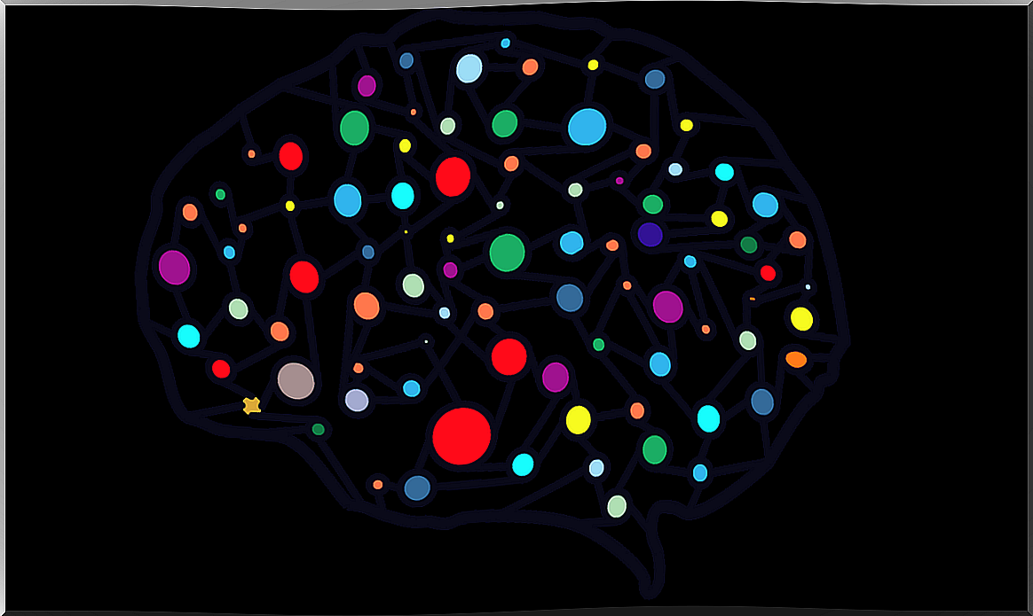 Colored brain representing the process of decomposing objects