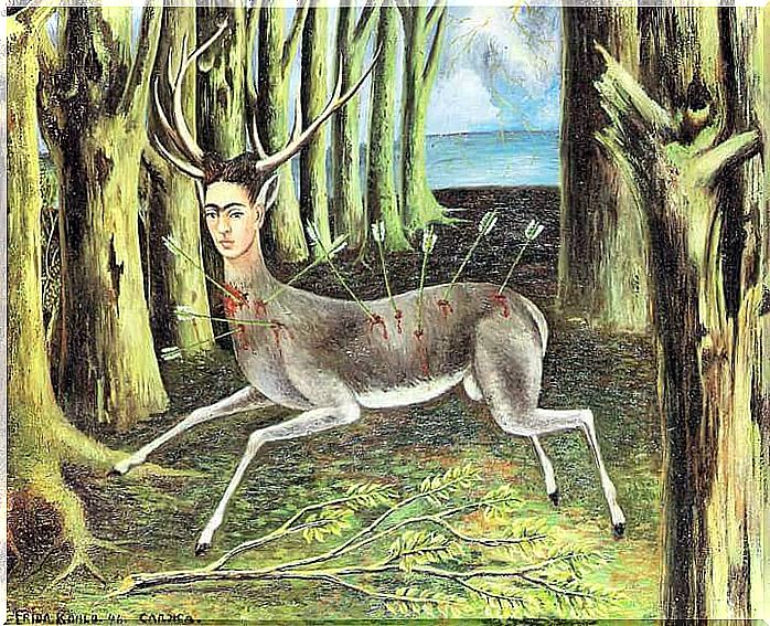 Frida like a wounded deer