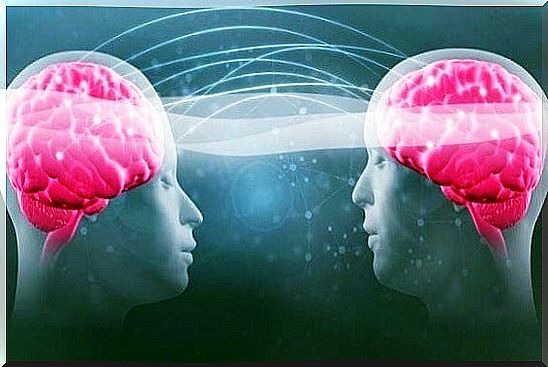 two heads with pink brains representing the impact of good conversations 