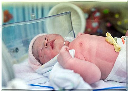 Newborn in an incubator