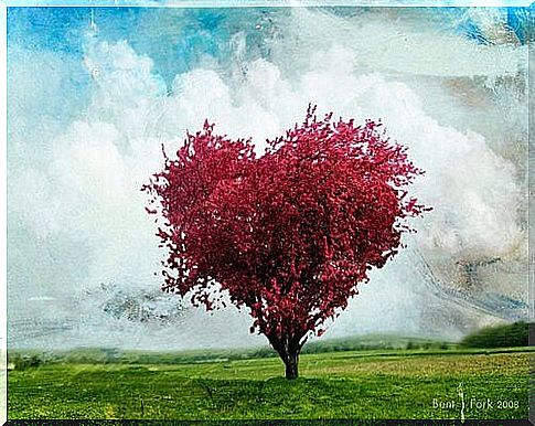 Tree with heart shape and pink color