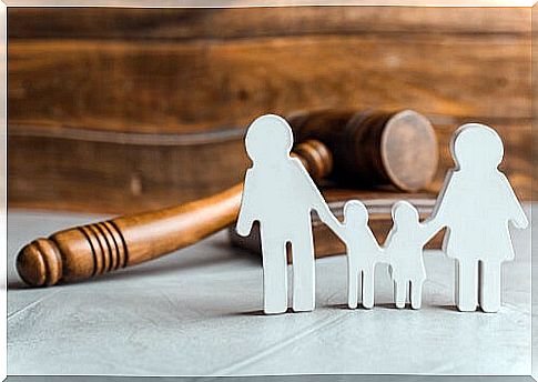 Legal aspects of joint custody