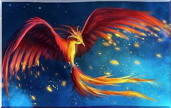 The myth of the Phoenix bird or the wonderful power of resilience