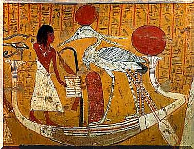 Phoenix bird in ancient egypt