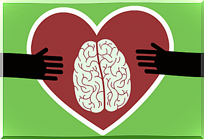 Heart with brain reflecting emotional intelligence